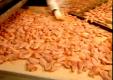 Processing of Chicken in Factory
